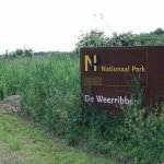 Nationaal Park de Weerribben